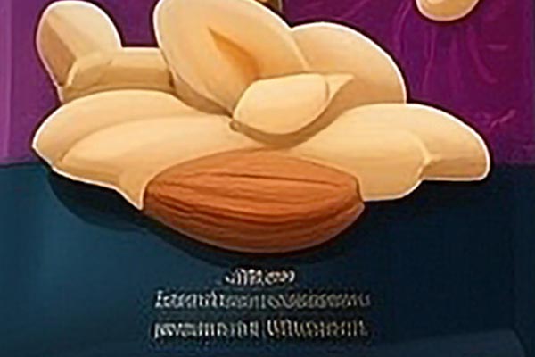 Dried Fruits
