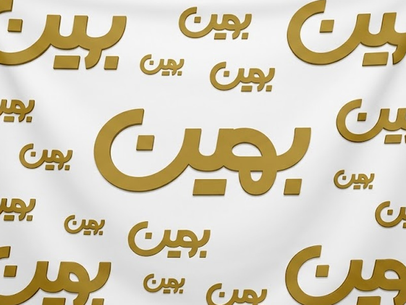 صنایع غذایی بهین (کنسرو بهین)