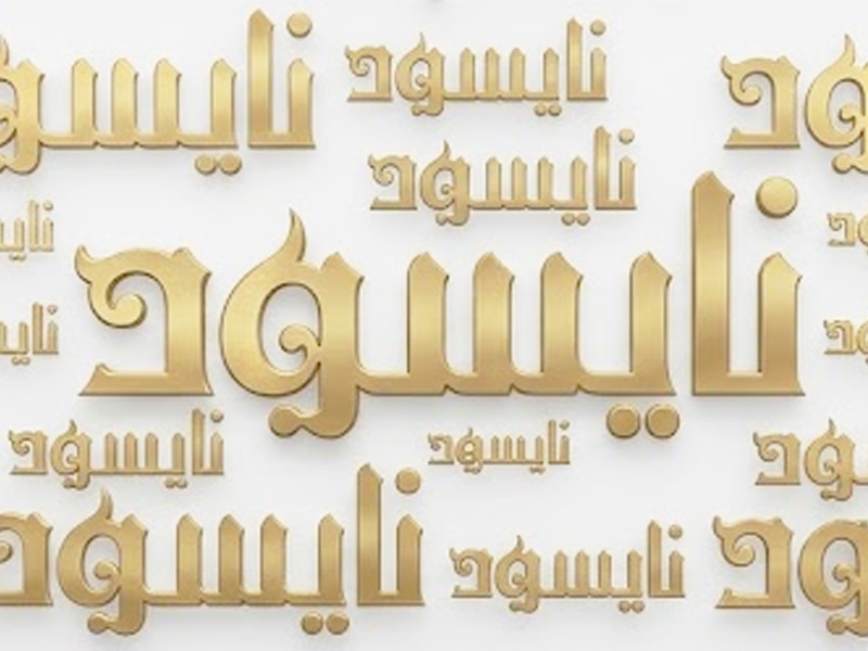صنایع غذایی نایسود