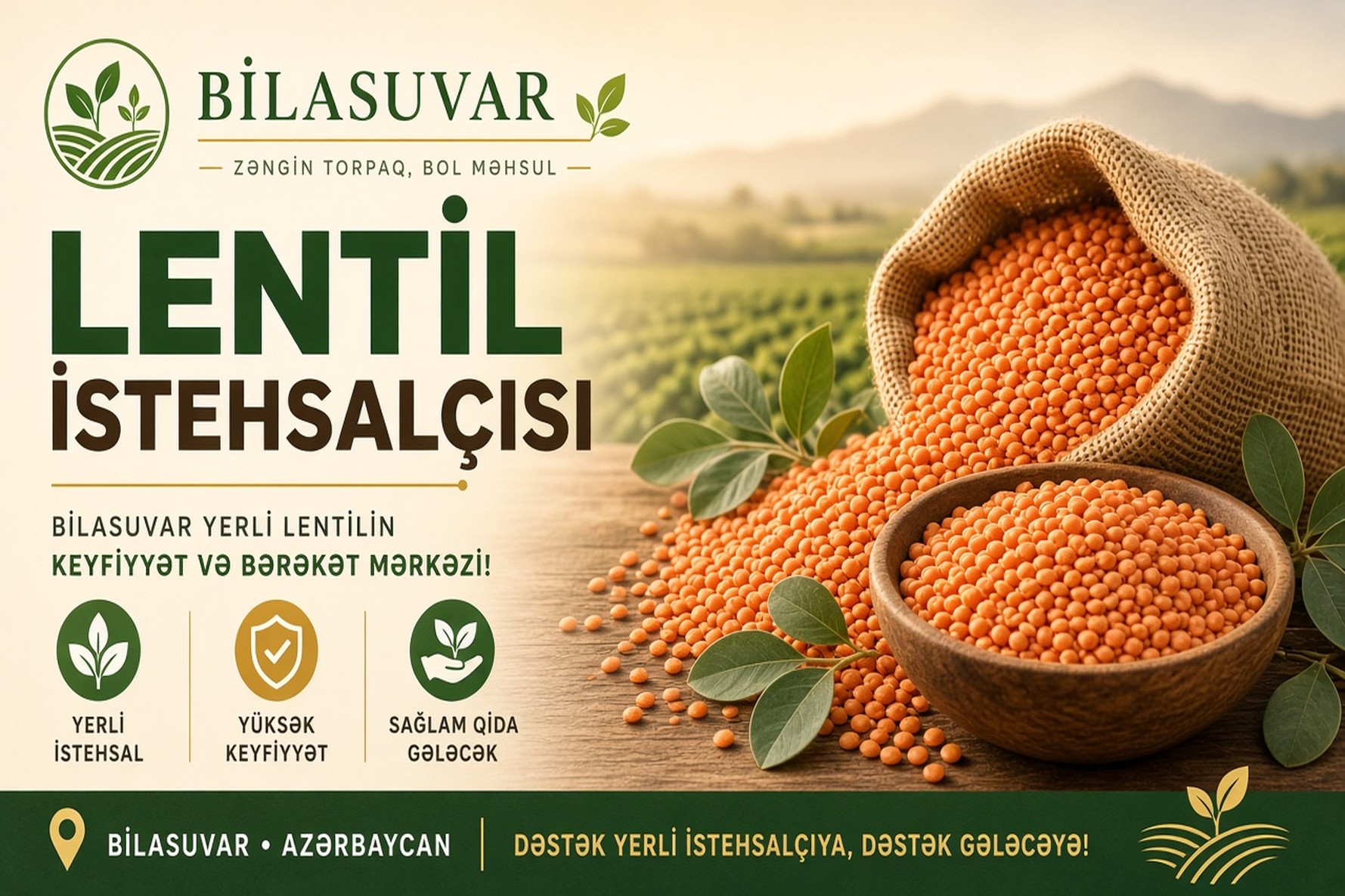 Bileh Savar Lentil Producers & Processors | Iranco