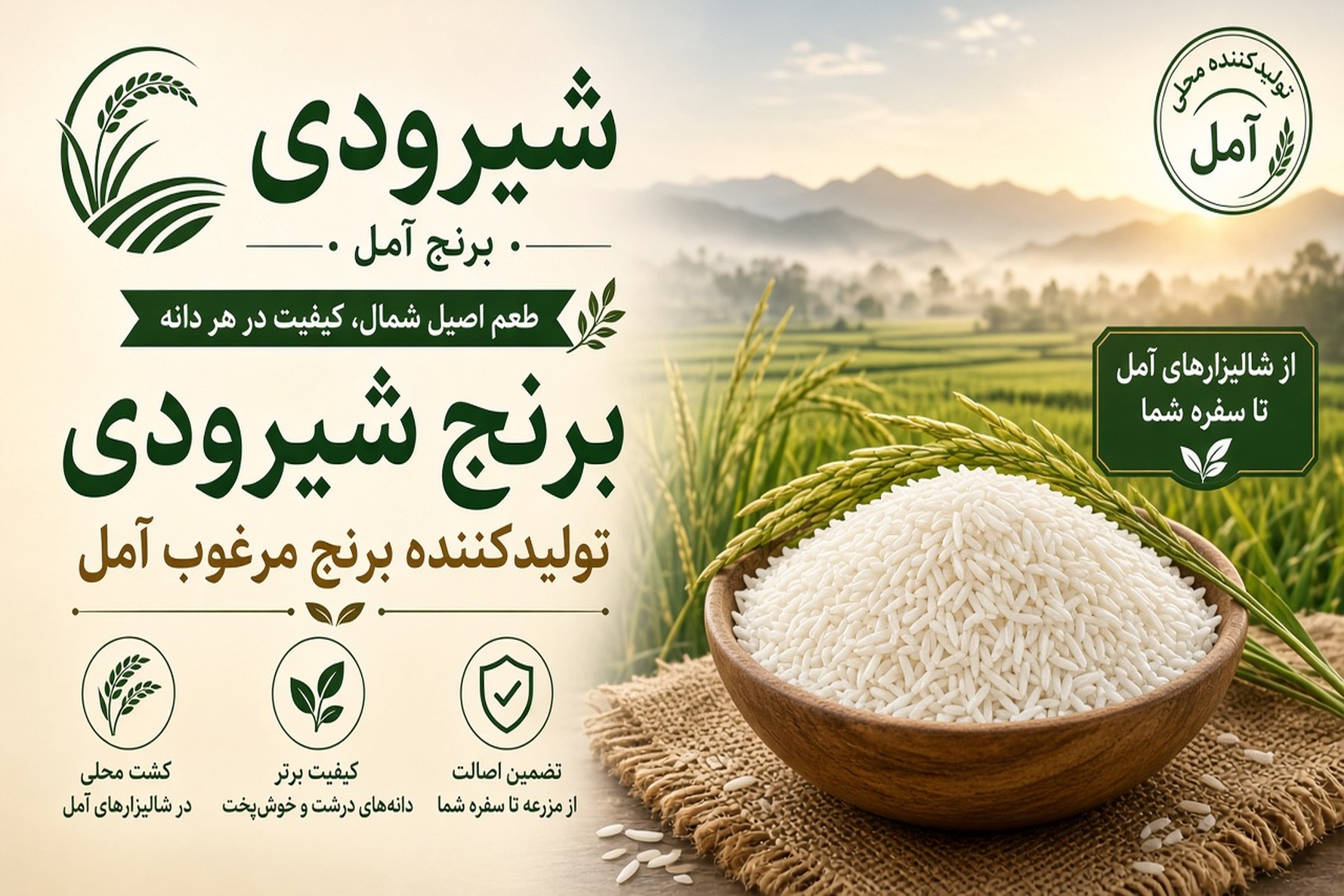 Amol County Shiroudi Rice Mills & Wholesalers | Iranco