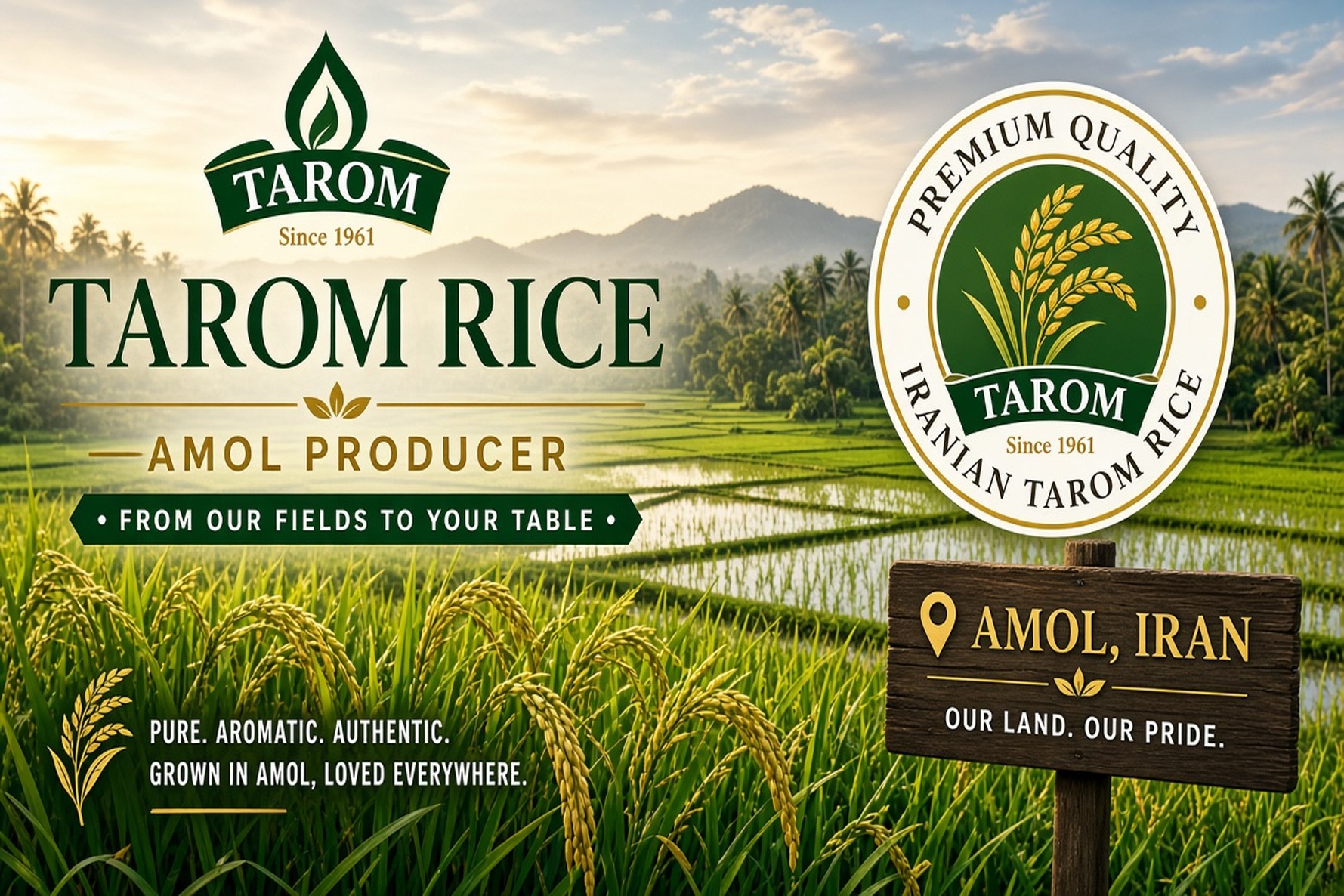Amol County Tarom Rice Mills & Wholesalers | Iranco