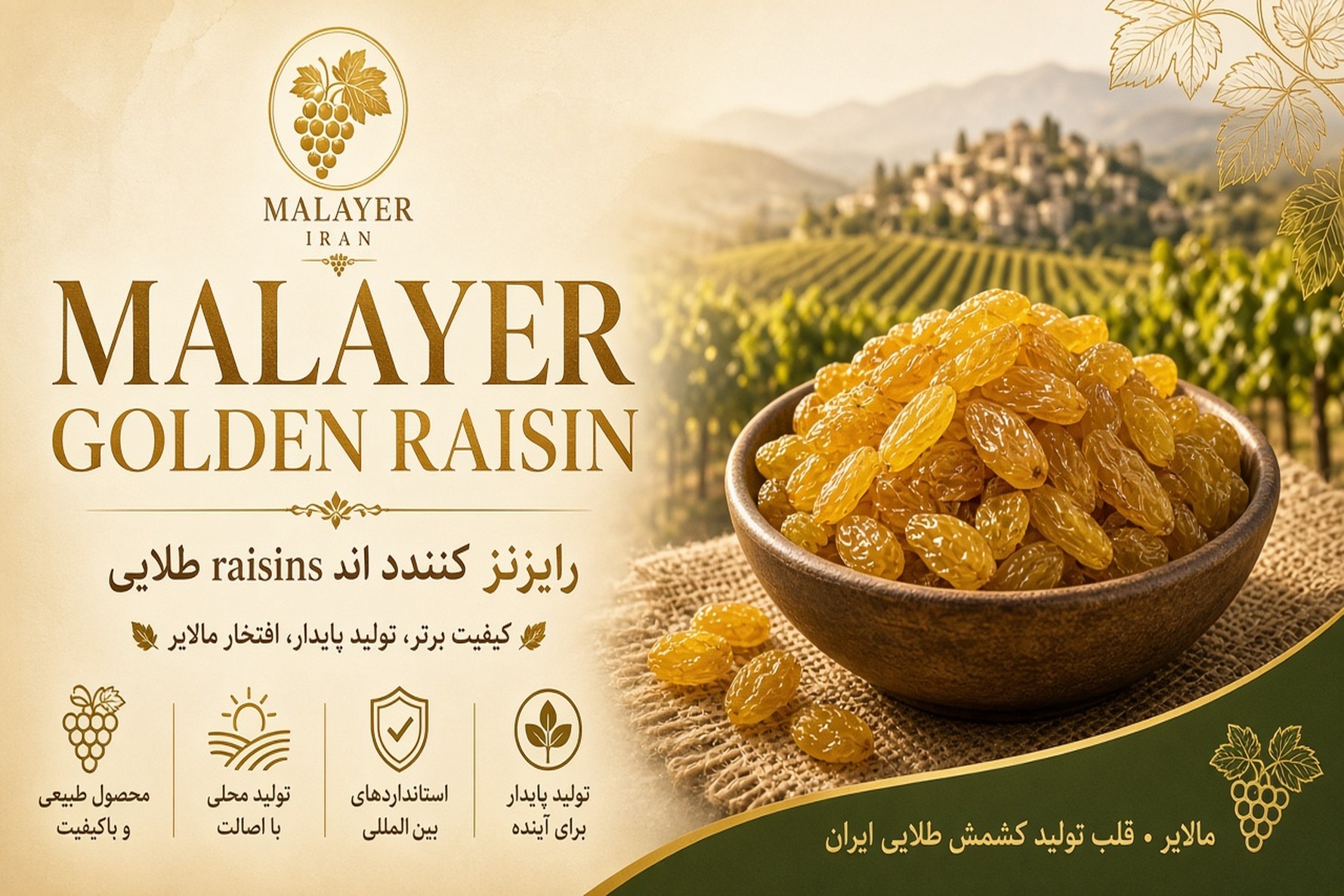 Malayer County Golden Raisin Producers Directory | Iranco