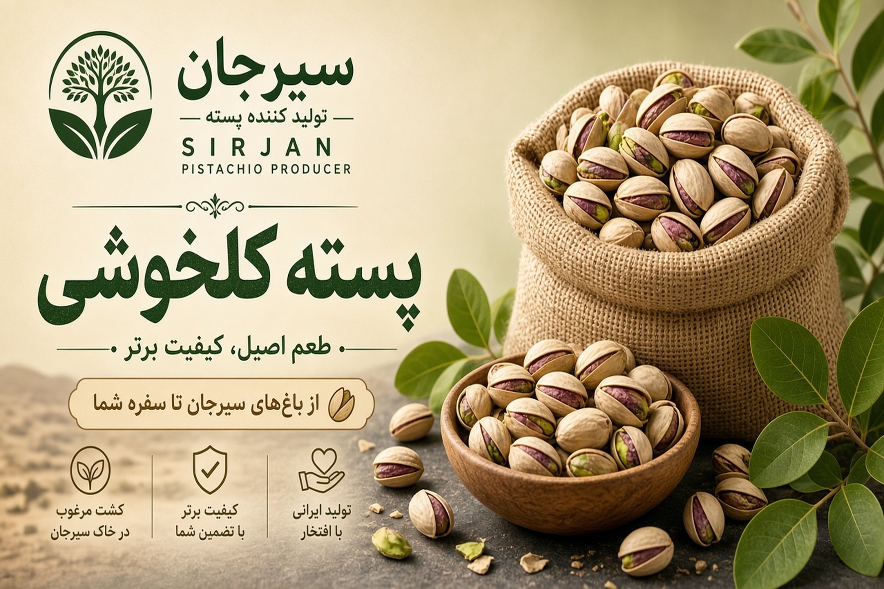 Sirjan County Kaleh Ghoochi (Jumbo) Pistachio Producers | Iranco
