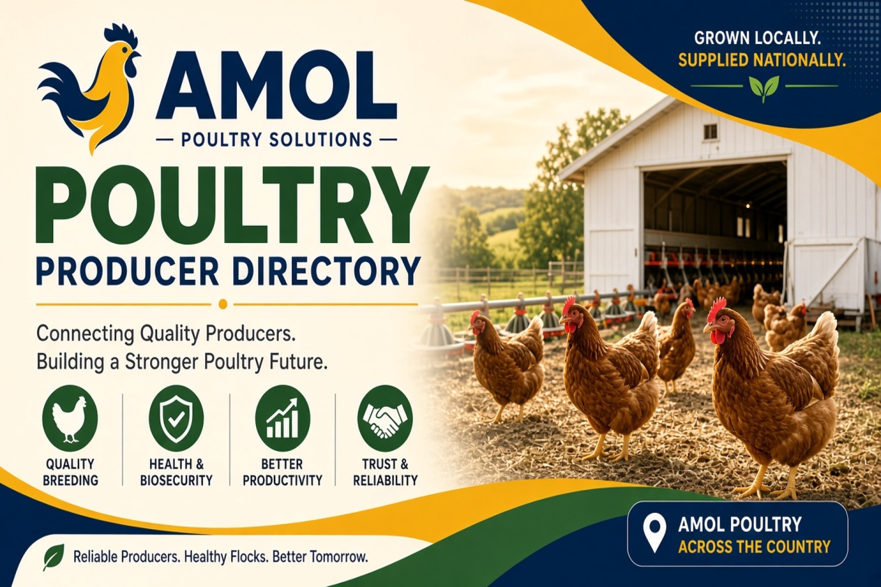 Amol County Poultry & Fresh Chicken Producers