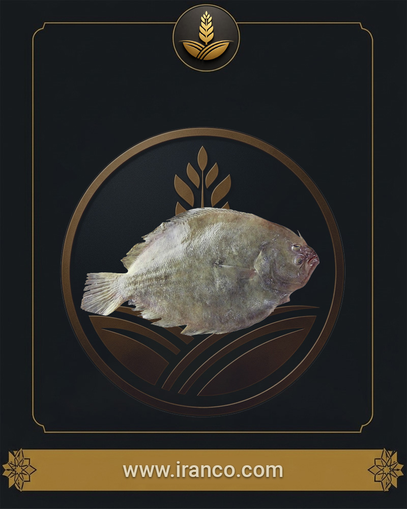 Lian Fresh Persian Gulf Sole Fish (Mezlak / Tongue Sole)