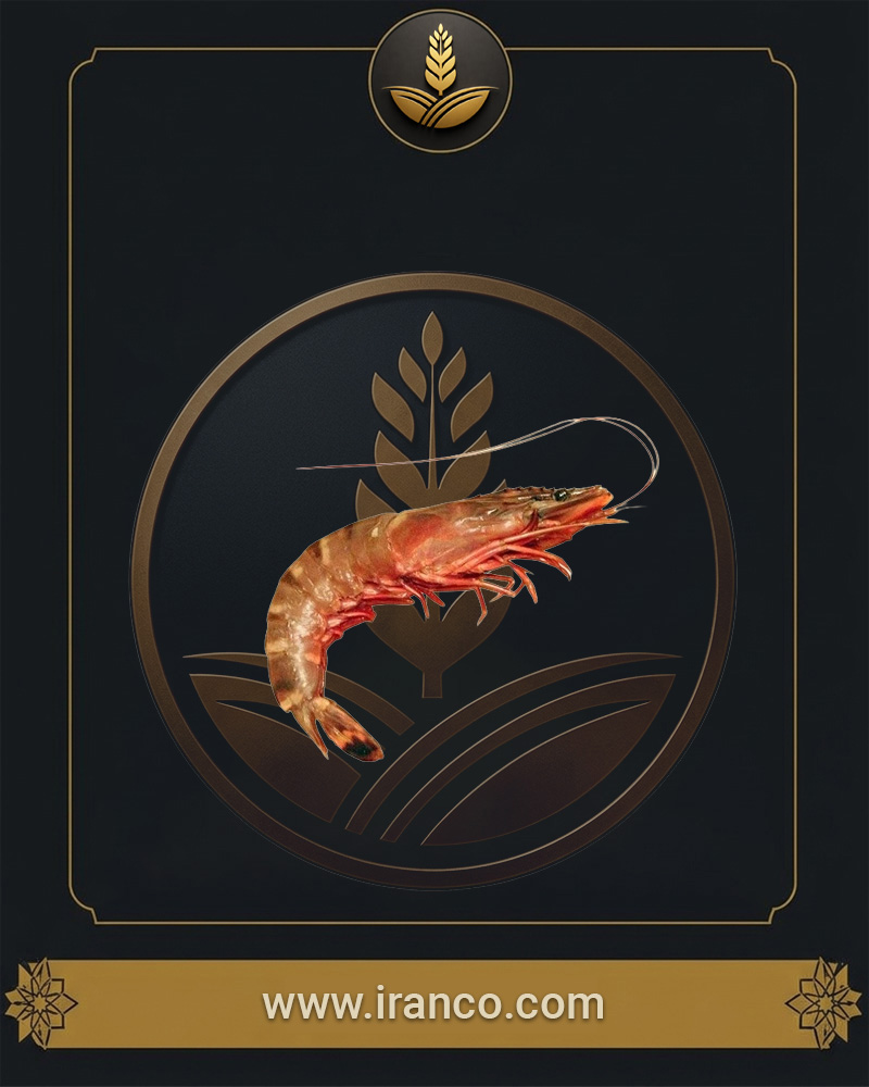 Lian Fresh Persian Gulf Small-Medium Cocktail Shrimp U100