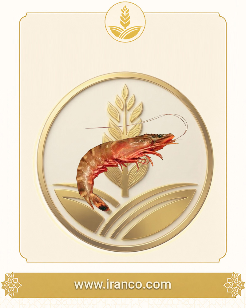 Lian Fresh Persian Gulf Small-Medium Cocktail Shrimp U100