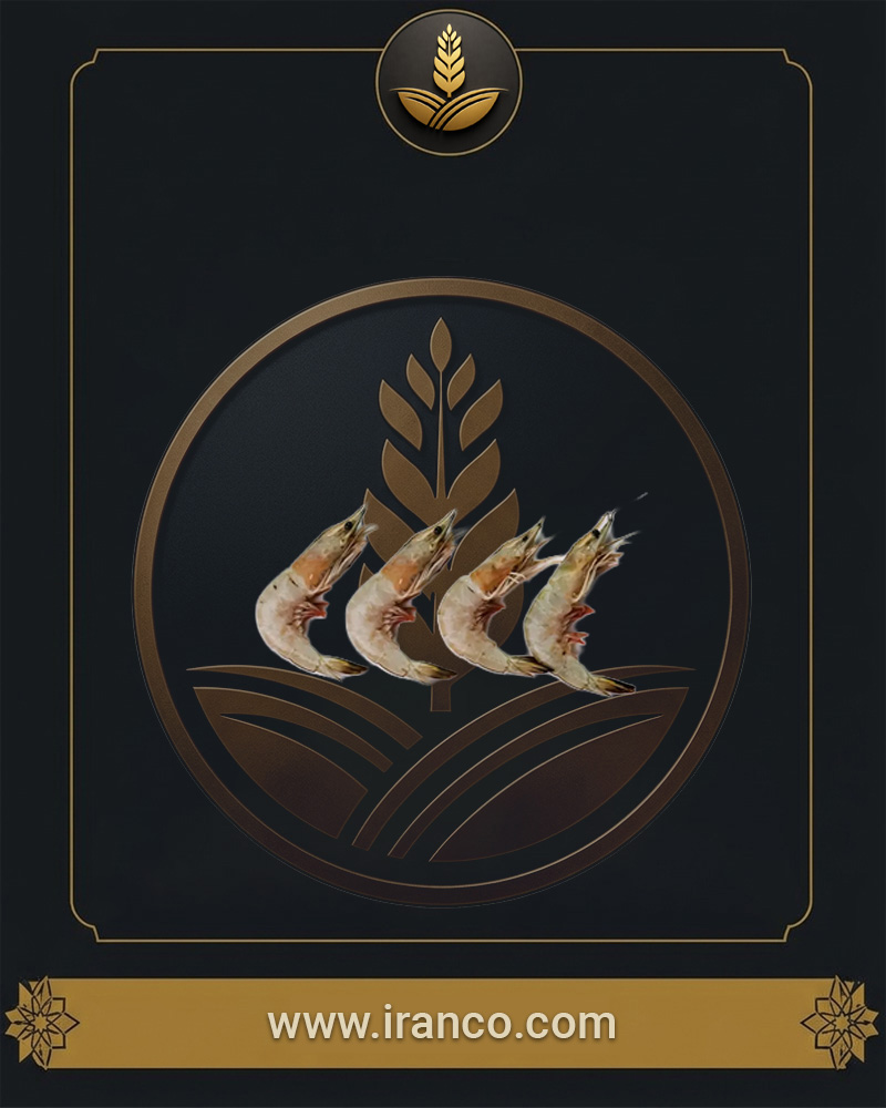 Lian Fresh Persian Gulf Tiny Rice Shrimp (Pelouyi)