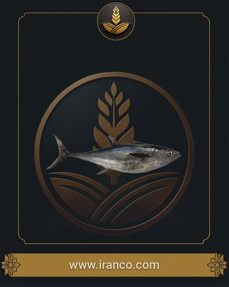 Lian Fresh Persian Gulf Yellowfin Tuna (Hoor)