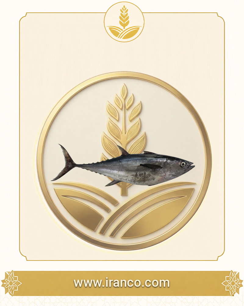 Lian Fresh Persian Gulf Yellowfin Tuna (Hoor)