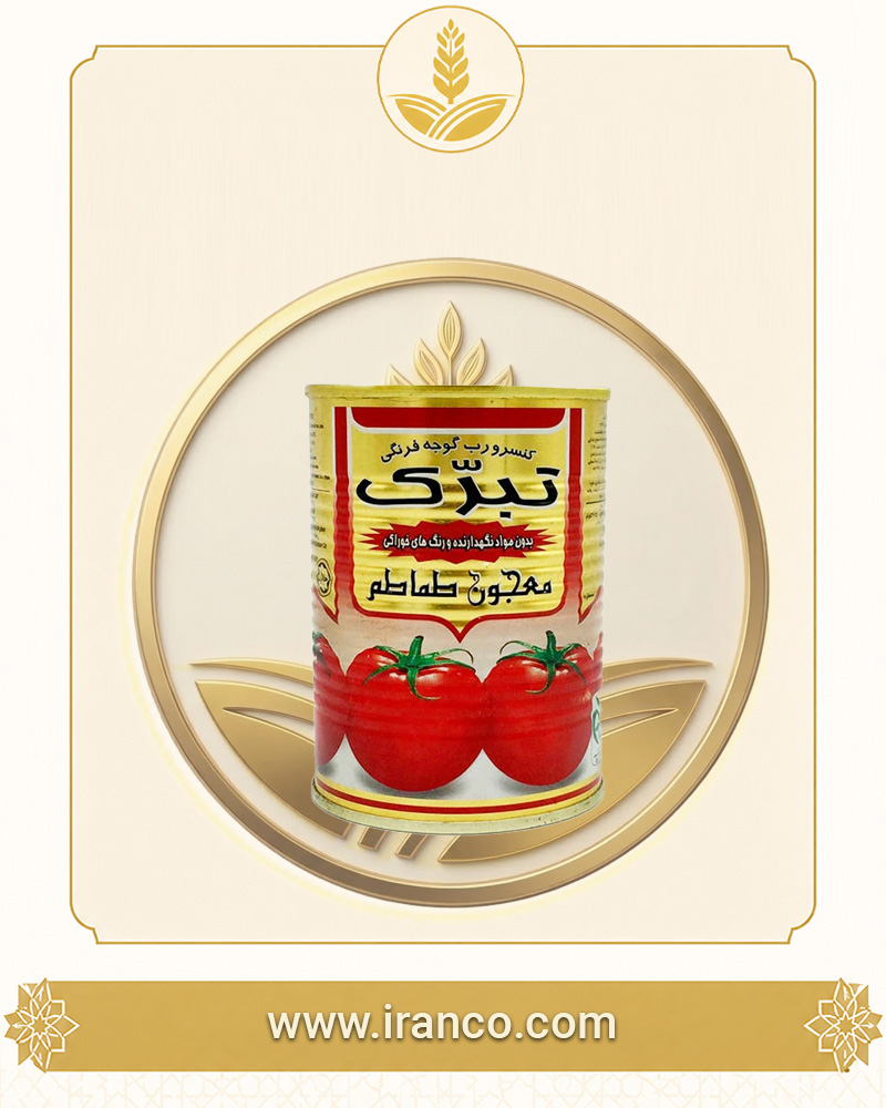Tabarok Canned Tomato Paste 400g
