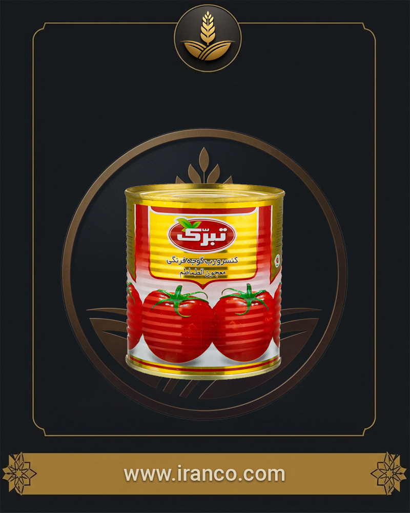 Tabarok Canned Tomato Paste 800g