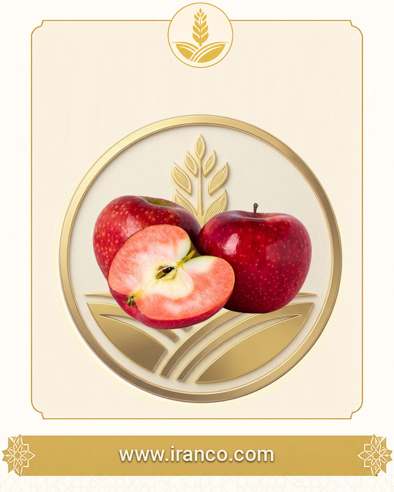 سیب تازه صادراتی ارگانیک