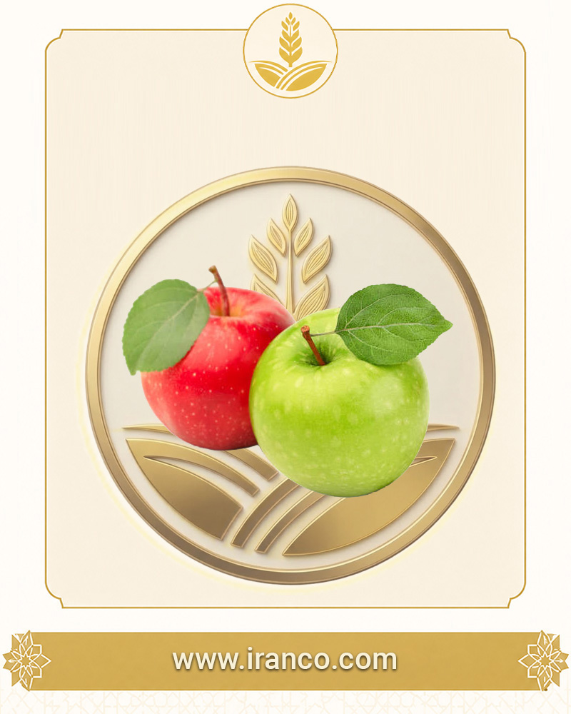 Maragheh Organic Export Apple