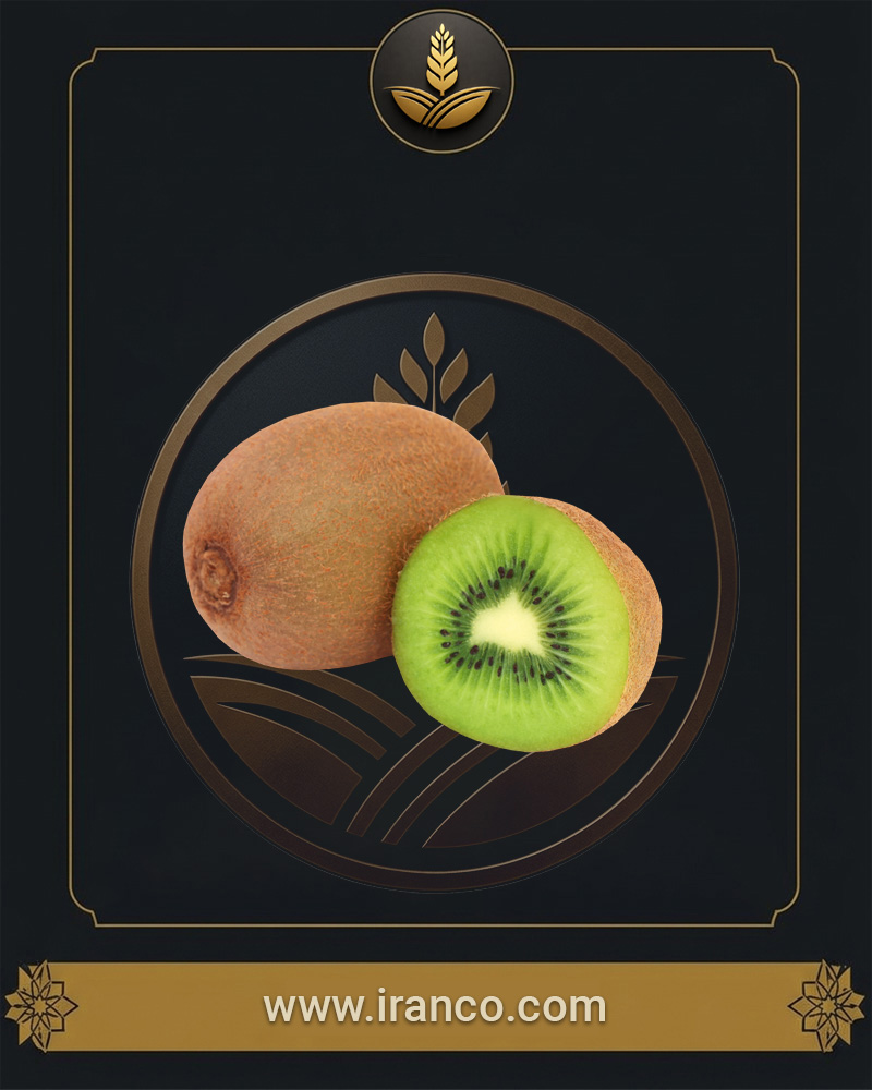 Bandar Gaz Organic Hayward Premium Kiwi Fruit