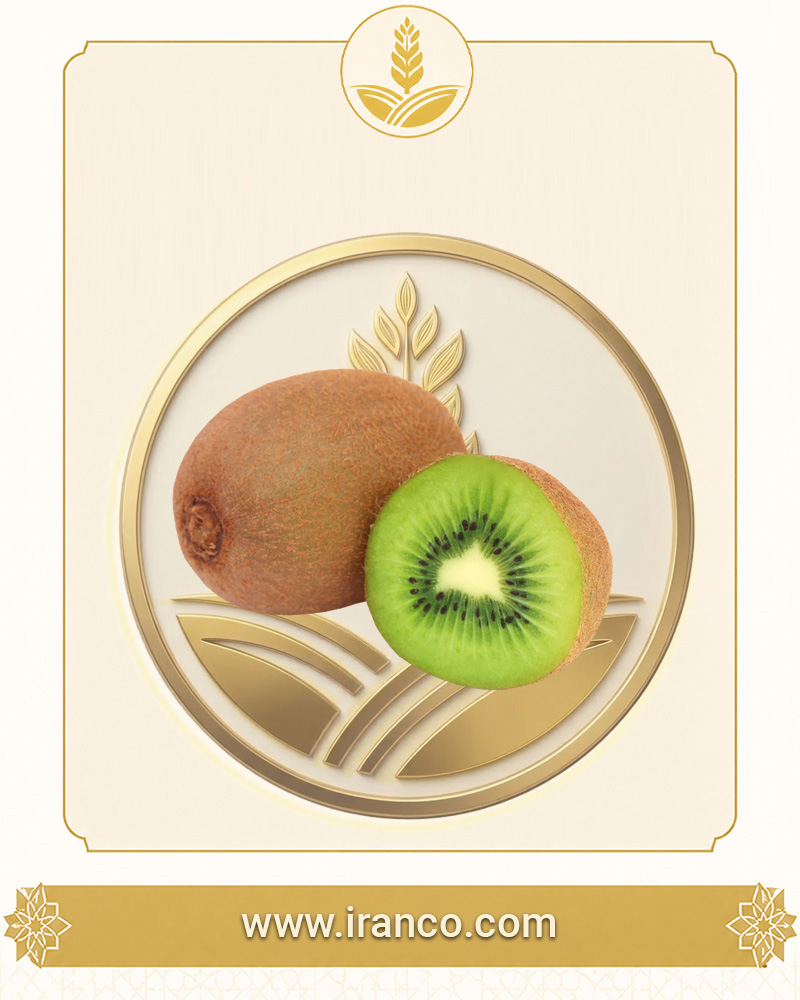 Bandar Gaz Organic Hayward Premium Kiwi Fruit