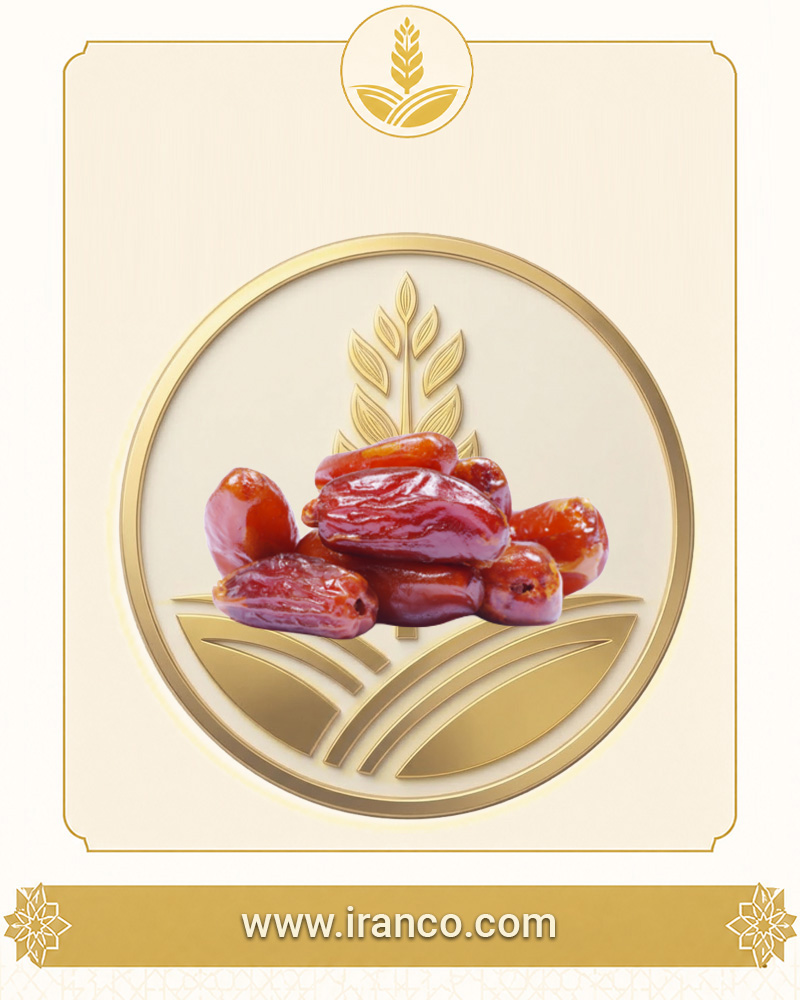 Bam Organic Fresh Mazafati Export Dates